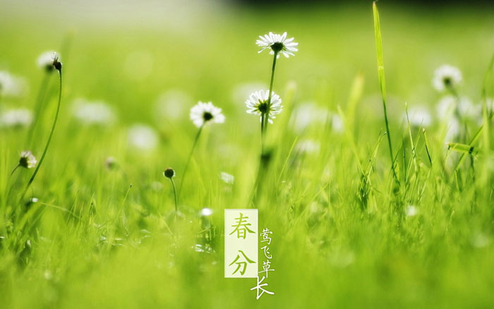 即即是春风十里，，，，，，依然不如你